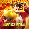 Logo da rioriches7